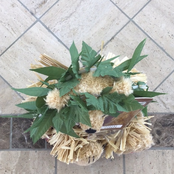 Hawaiian Collectibles Hoku Li’ili’i Little Star Bearfoot Hula Bear Plush - Picture 4 of 5